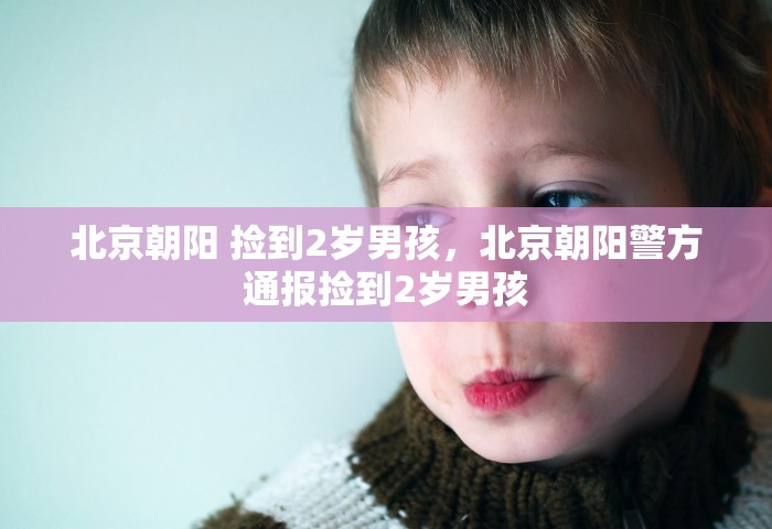 北京朝阳 捡到2岁男孩，北京朝阳警方通报捡到2岁男孩