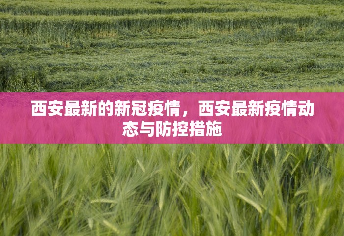 西安最新的新冠疫情，西安最新疫情动态与防控措施