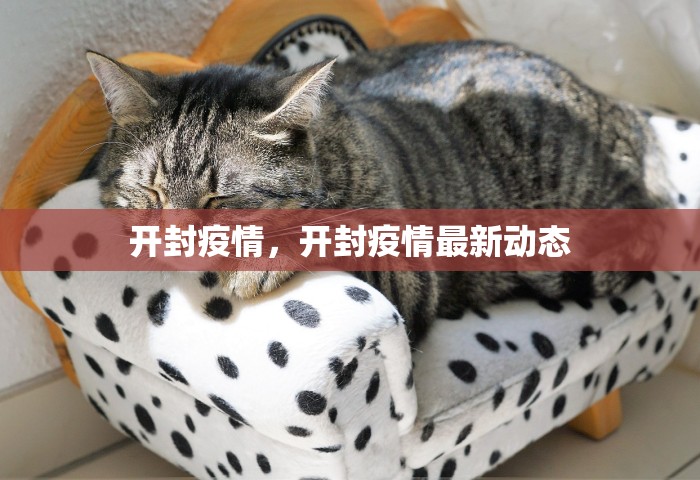 开封疫情，开封疫情最新动态