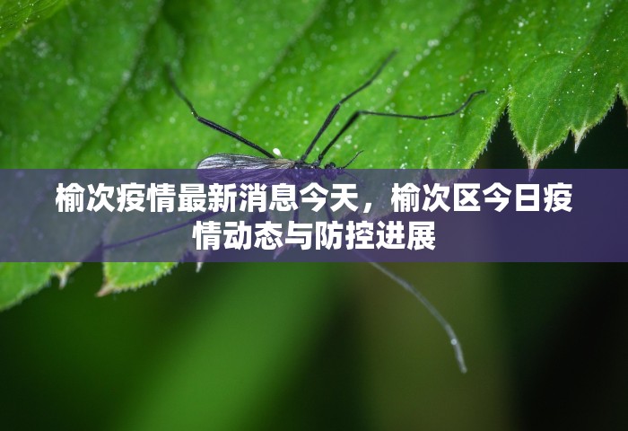 榆次疫情最新消息今天，榆次区今日疫情动态与防控进展