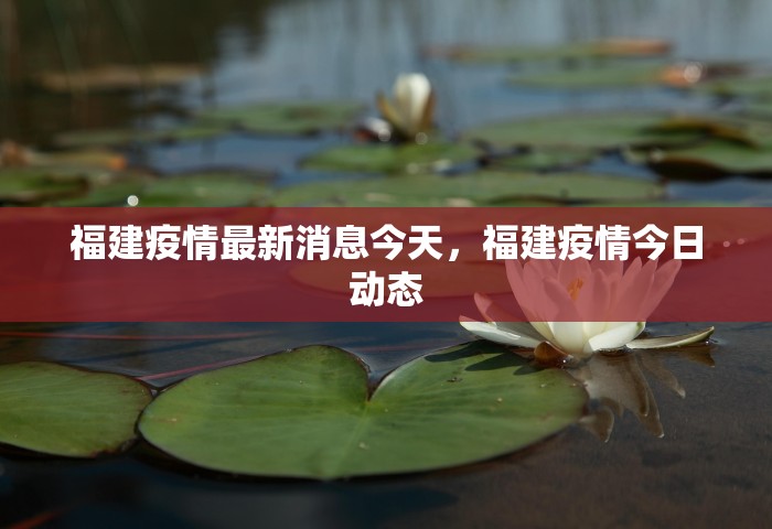 福建疫情最新消息今天	，福建疫情今日动态