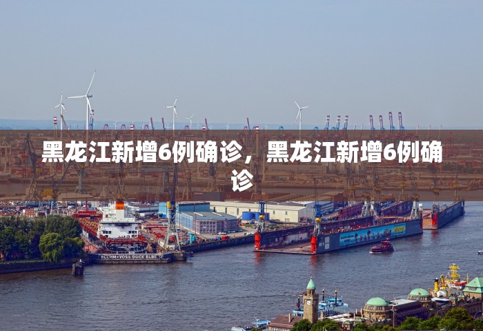 黑龙江新增6例确诊	，黑龙江新增6例确诊
