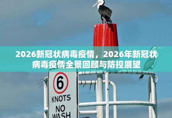 2026新冠状病毒疫情，2026年新冠状病毒疫情全景回顾与防控展望