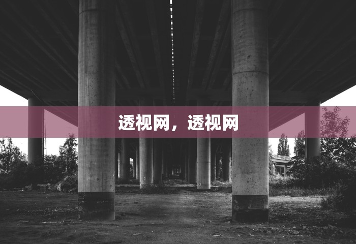 透视网，透视网