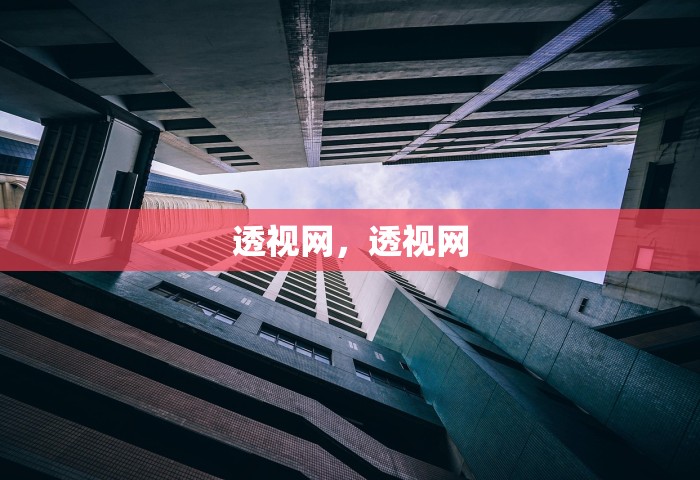 透视网，透视网