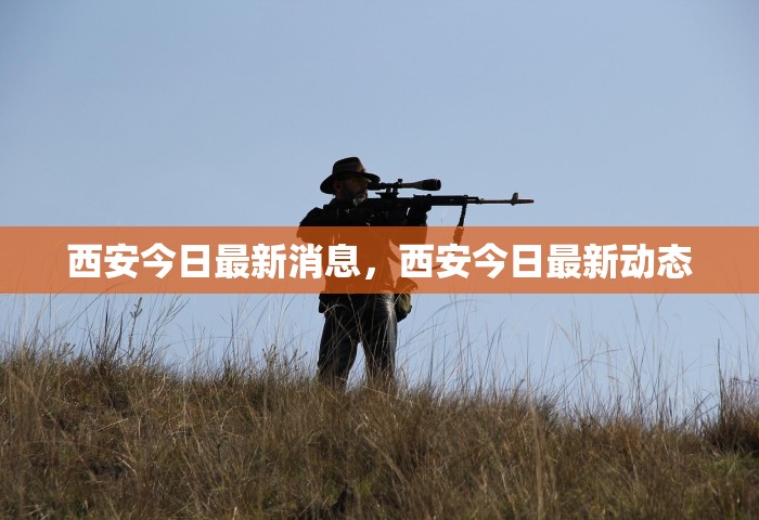 西安今日最新消息，西安今日最新动态